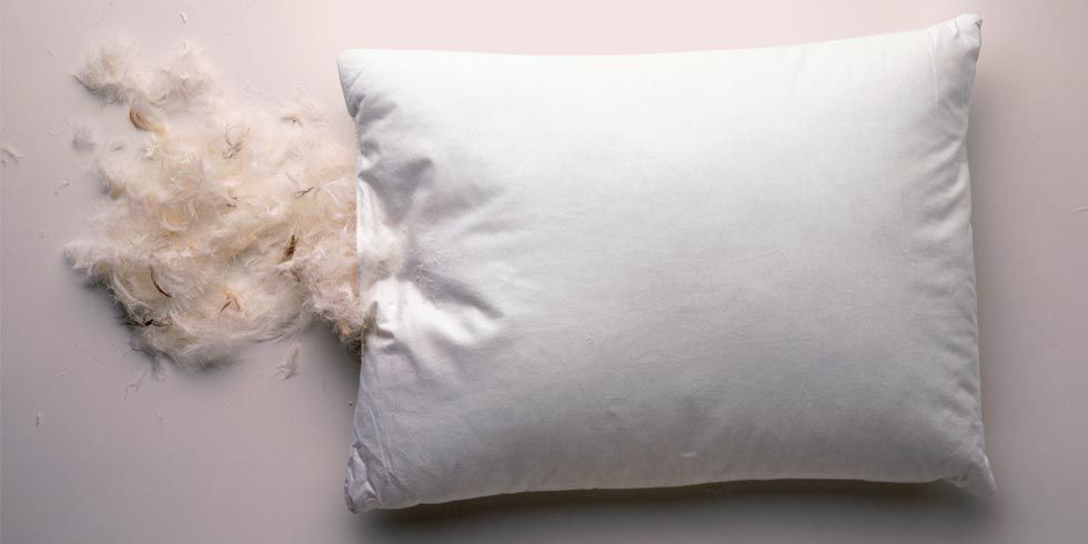 FEB102021pillows-fermar-maintenance